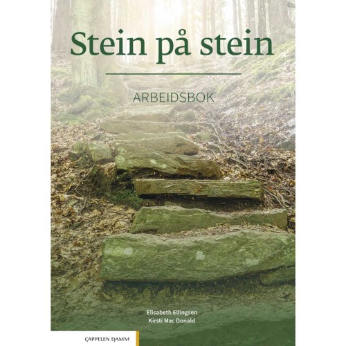 Stein på stein Arbeidsbok – Übungen zum Norwegischlernen auf dem Niveau B1