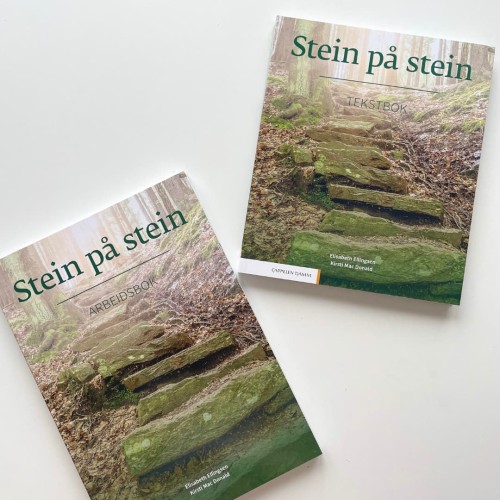 Stein på stein Arbeidsbok – Übungen zum Norwegischlernen auf dem Niveau B1 , 2