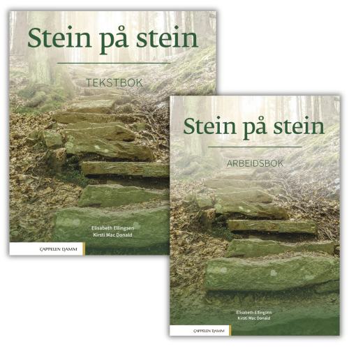 IM SET GÜNSTIGER: Stein på stein, Lehrbuch + Arbeitsbuch
