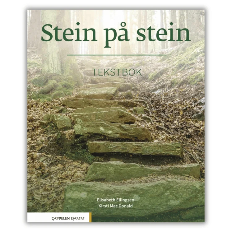 Stein på stein Tekstbok Podręcznik do nauki norweskiego na poziomie B1, norweski dla średnio zaawansowanych